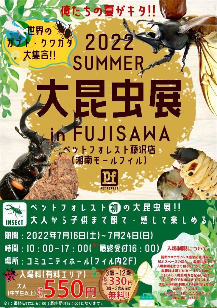 世界のカブト・クワガタ大集合！！大昆虫展 in FUJISAWA