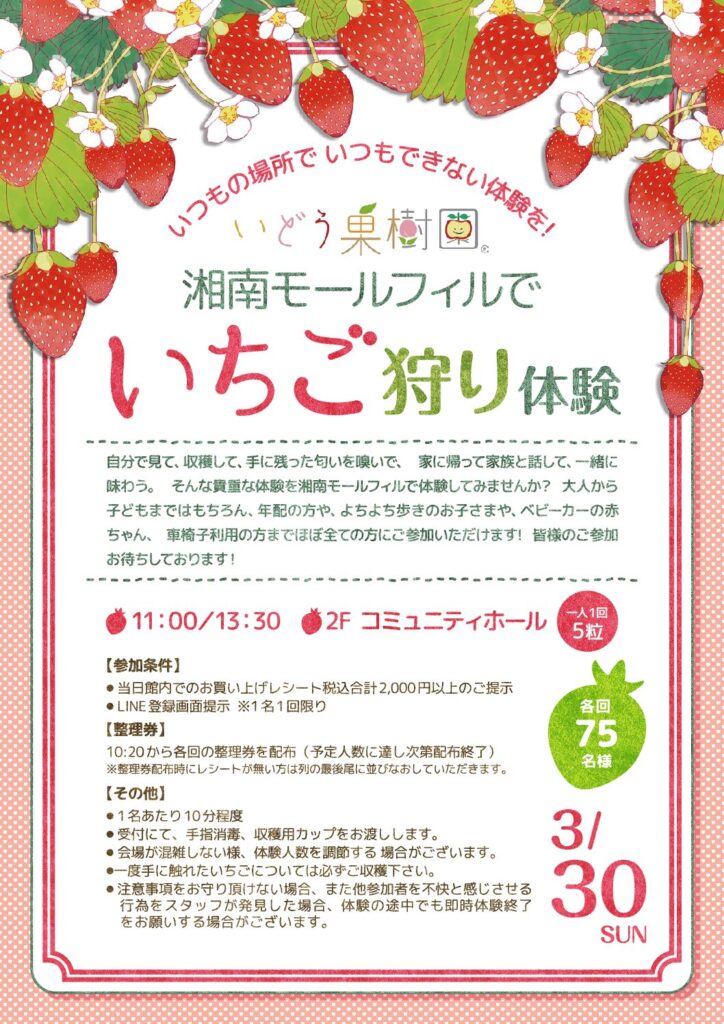いどう果樹園 湘南モールフィルでいちご狩り体験