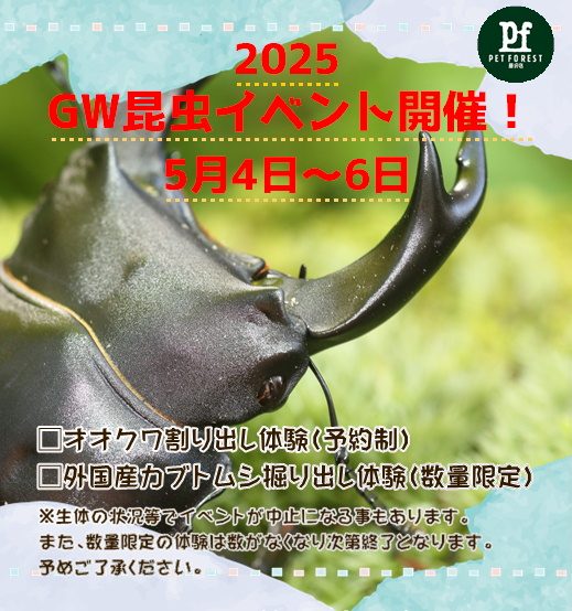 GW昆虫イベント開催決定！